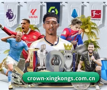 加入我们, 开启不一样的体育体验（xingkong）