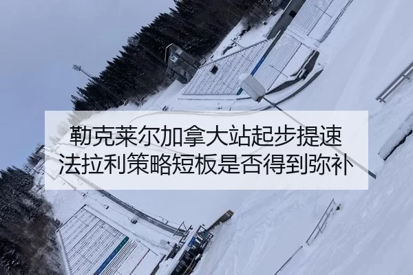 lei-ke-lai-er-jia-na-da-zhan-qi-bu-ti-su-fa-la-li-ce-lve-duan-ban-shi-fou-de-dao-mi-bu-1-258.jpg（xingkong）